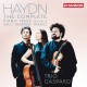 海頓: 鋼琴三重奏全集,第四集,第26,36,31,34號 加斯巴三重奏	Trio Gaspard / Franz Joseph Haydn: Complete Piano Trios, Vol. 4 