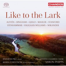 喜歡百靈鳥 珍妮佛.派克 小提琴 賽門·菲普斯 指揮 瑞典室內合唱團	Simon Phipps, Jennifer Pike / Like to the Lark