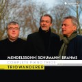 (3CD)孟德爾頌/布拉姆斯/舒曼: 鋼琴三重奏全集 流浪者三重奏	Trio Wanderer / Mendelssohn, Schumann & Brahms: Complete Piano Trios
