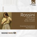 羅西尼:大提琴室內樂集  Rossini / Une larme Duo for cello & double bass Sonate a quattro nos.3 & 6