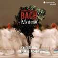 巴哈: 經文歌 拉斐爾·皮雄 指揮 皮馬龍合奏團	Ensemble Pygmalion, Raphael Pichon / J.S. Bach: Motets