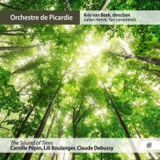 樹林之聲(法國作曲家作品改編集) 范.畢克 指揮 法國皮卡第管弦樂團	Orchestre de Picardie, Arie van Beek / Camille Pepin:The Sound of Trees