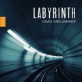 迷宮(各時期及各國的作曲家鋼琴作品) 大衛．葛雷桑馬 鋼琴	David Greilsammer / Labyrinth 