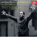 義大利指揮家安東尼奧·佩德羅蒂在布拉格  Pedrotti in Prague