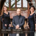 雷格:弦樂三重奏及鋼琴四重奏 里瑞科三重奏 / Trio Lirico / Reger: Complete String Trios & Piano Quartet
