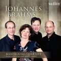 布拉姆斯:弦樂六重奏全集 / Brahms: Complete String Sextets