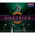 華格納：樂劇(齊格飛)全集 / Wagner:The Goodall Ring-Siegfried