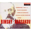 (絕版)林姆斯基-高沙可夫：交響曲全集,鋼琴協奏曲(2CD) / R-Korsakov: Symphony/Concerto