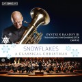 雪花紛飛～低音號的奇蹟聖誕 Snowflakes - A Classical Christmas