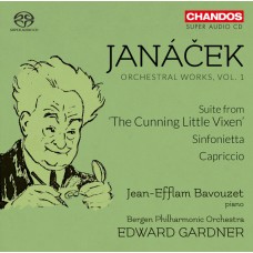 楊納傑克：管弦作品第一集 (巴佛傑, 鋼琴)　Janacek：Orchestral Works, Vol. 1 (Bavouzet)