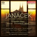 楊納傑克：管弦作品第三集 (加德納 / 卑爾根愛樂) Edward Gardner / Janacek: Orchestral Works, Vol. 3