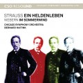 (SACD)芝加哥交響樂團 / 海汀克指揮 / 理查史特勞斯:英雄生涯 Strauss, R: Ein Heldenleben, Webern: Im sommerwind
