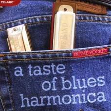 口袋的奇妙世界－藍調口琴In the Pocket . A Taste of Blues Harmonica 