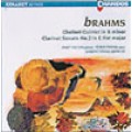 布拉姆斯：B小調單簧管五重奏作品115、降E大調第二號單簧管與鋼琴奏鳴曲作品120　Brahms：Clarinet Quintet, Clarinet Sonata No.2