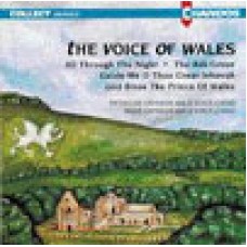 威爾斯之歌聲The voice of Wales - Tredegar Orpheus / Rhos Orpheus Male Voice Choirs 