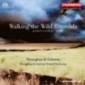 海尼根與勞森《漫步羅恩達荒野》Heneghan & Lawson:Walking The Wild Rhondda-H&L Virtual Orchestra 