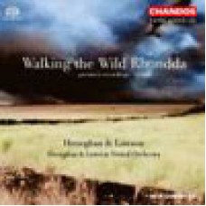 海尼根與勞森《漫步羅恩達荒野》Heneghan & Lawson:Walking The Wild Rhondda-H&L Virtual Orchestra 