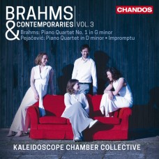 布拉姆斯與同時期作曲家作品,第三集 萬花筒室內集樂團	Kaleidoscope Chamber / Brahms & Contemporaries, Vol. 3